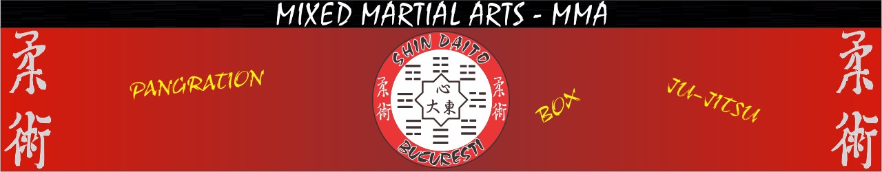 Banner Shin Daito
