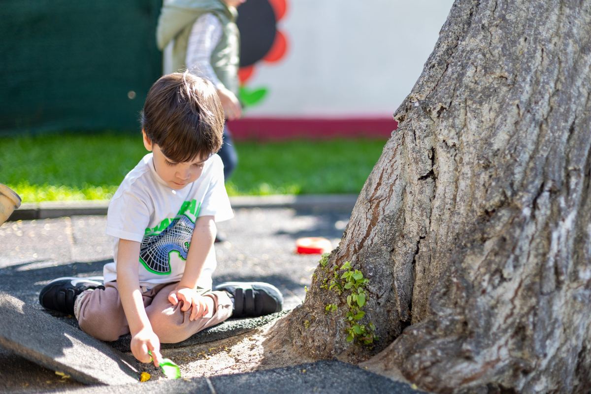 MiRo Kids World, foto 1