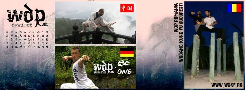 WDKF Wudang Kung Fu București, foto 1
